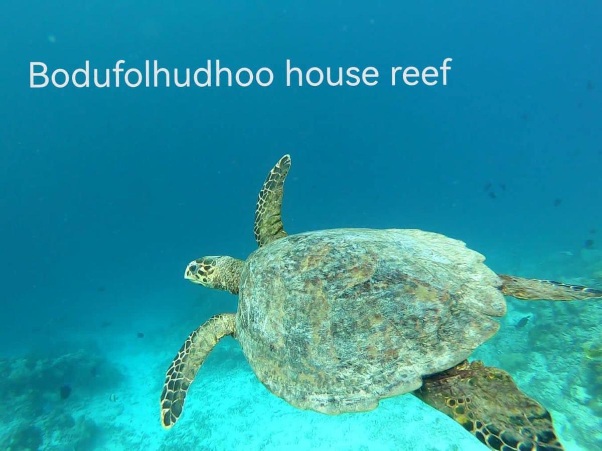 Surfretreat Hotell Bodufolhudhoo Exteriör bild