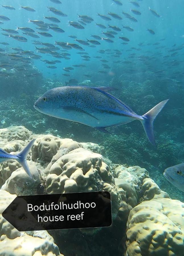 Surfretreat Hotell Bodufolhudhoo Exteriör bild